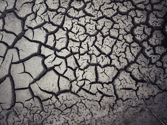 “La sequía es un desastre silencioso cuyo impacto apenas comienza”