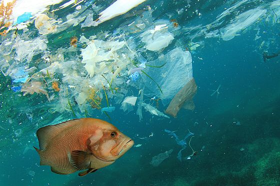 L’inquinamento da plastica negli oceani non si arresta