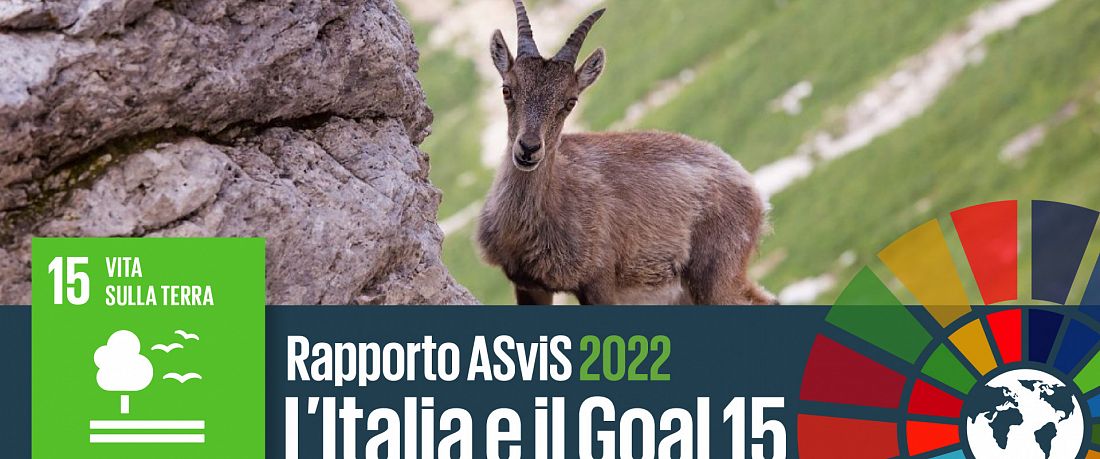 L’Italia e il Goal 15: biodiversità in declino, serve una fiscalità ecologica