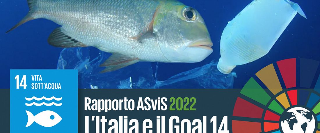 L’Italia e il Goal 14: attuare la Strategia marina e recuperare i gravi ritardi