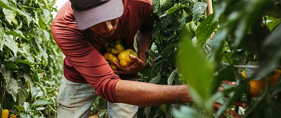 Italia: c’è un alto divario salariale tra lavoratori nazionali e migranti