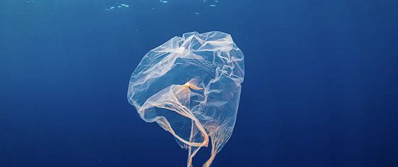 FOCUS. Il mondo si mobilita contro l’inquinamento da plastica