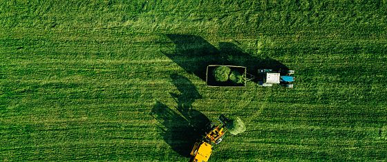 Il 4 dicembre l’evento Qn su settore agroalimentare e sostenibilità