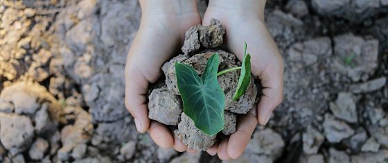 Rapporto Ambiente: un’Italia tra progressi e sfide ambientali verso il 2030