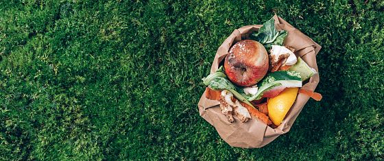 Giornata spreco alimentare: più aumenta l’insicurezza, più cibo viene sprecato