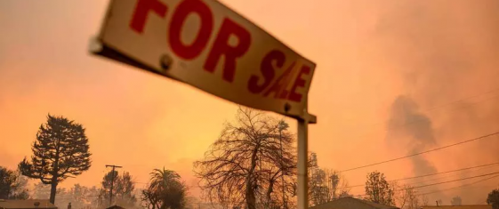 Incendi in California: crisi climatica, fuga delle assicurazioni e ruolo delle app