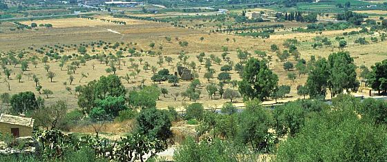 Gli europei chiedono un’agricoltura che contrasti i cambiamenti climatici 