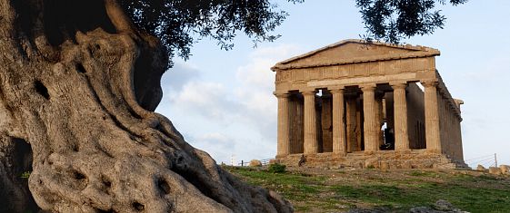 Le rubriche settimanali 