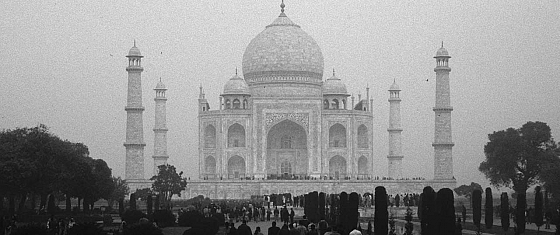 Le rubriche settimanali 