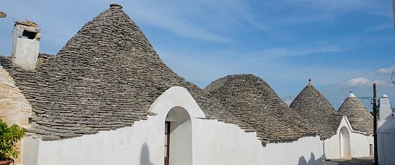 Le rubriche settimanali 