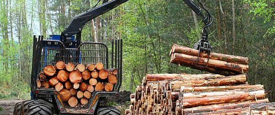 Per ogni dollaro investito in favore della natura ce ne sono 30 che la distruggono