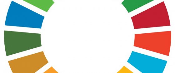 Ecosistemi dell’innovazione: perché servono regole comuni per generare impatto reale