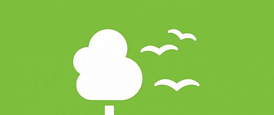 Dalla governance al Biodiversity net gain: guida alle nuove norme Iso