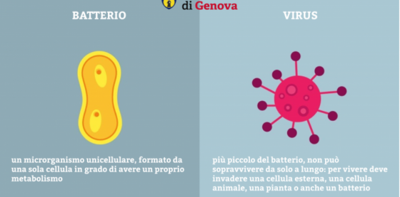 Produzione di gel disinfettante - dell'università di Genova