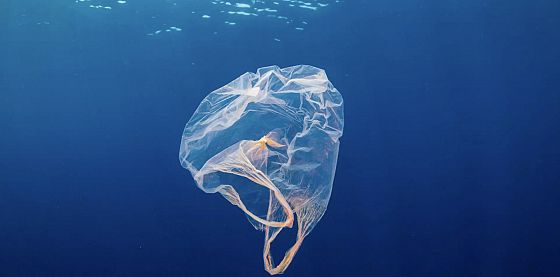 FOCUS. Il mondo si mobilita contro l’inquinamento da plastica