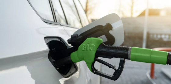 FOCUS. Biocombustibili ed e-Fuels sono davvero una soluzione alternativa all’auto elettrica?