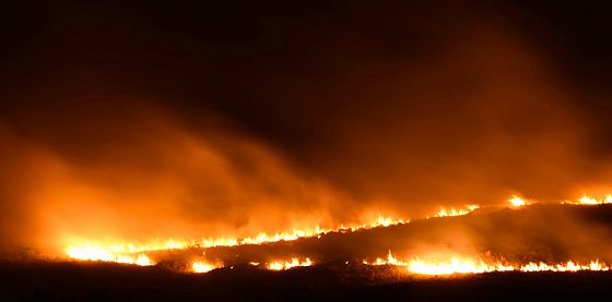 Gli incendi boschivi mettono a rischio i progressi compiuti sul buco dell’ozono