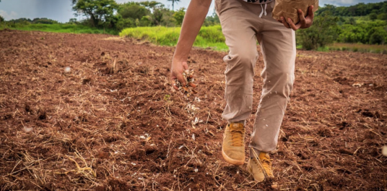 Wwf: 10 regole d'oro per un sistema alimentare sostenibile e responsabile