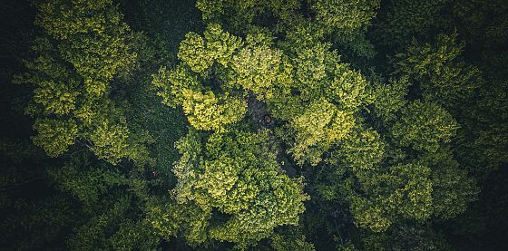 Trasparenza climatica: la leva nascosta per realizzare l’Accordo di Parigi