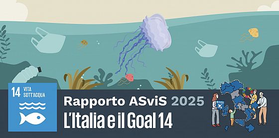 Più del 60% dello stock ittico italiano è gestito in modo insostenibile