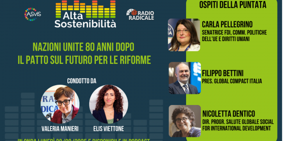 Nazioni Unite 80 anni dopo. Il Patto sul futuro come agenda per le riforme