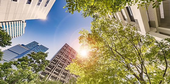 Città sostenibili, al via la 3° edizione della scuola ASviS-Comune di Milano