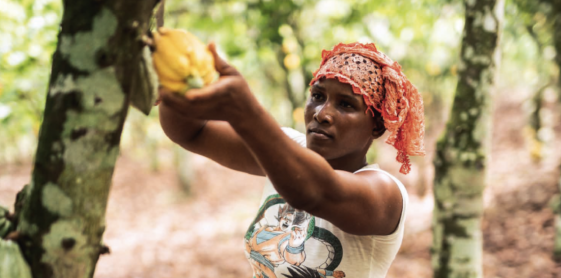 Fairtrade, un 2021 in ripresa per il mercato dei prodotti equo e solidali 