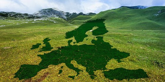 Green deal: per una giusta transizione servono più dati su lavoro e ambiente