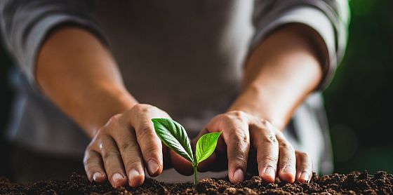 Sostenibilità e qualità: la nuova frontiera per le imprese italiane