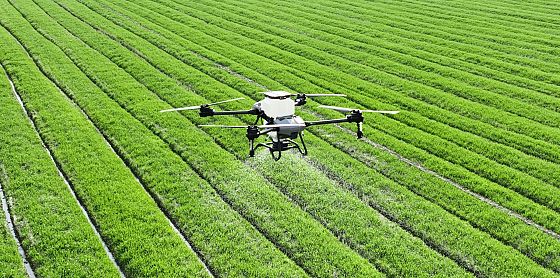 Foodtech italiano: investimenti in calo, ma startup ed export spingono la crescita