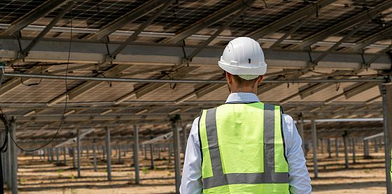 Lavoro e transizione verde: dall’Ocse sette raccomandazioni per le giuste competenze