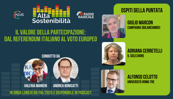 Democrazia sotto esame. Europa e Italia alla prova della partecipazione civica