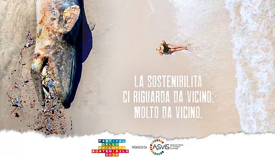 Le pubblicazioni del Festival