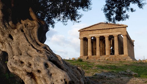 Le rubriche settimanali 