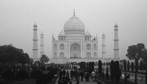 Le rubriche settimanali 