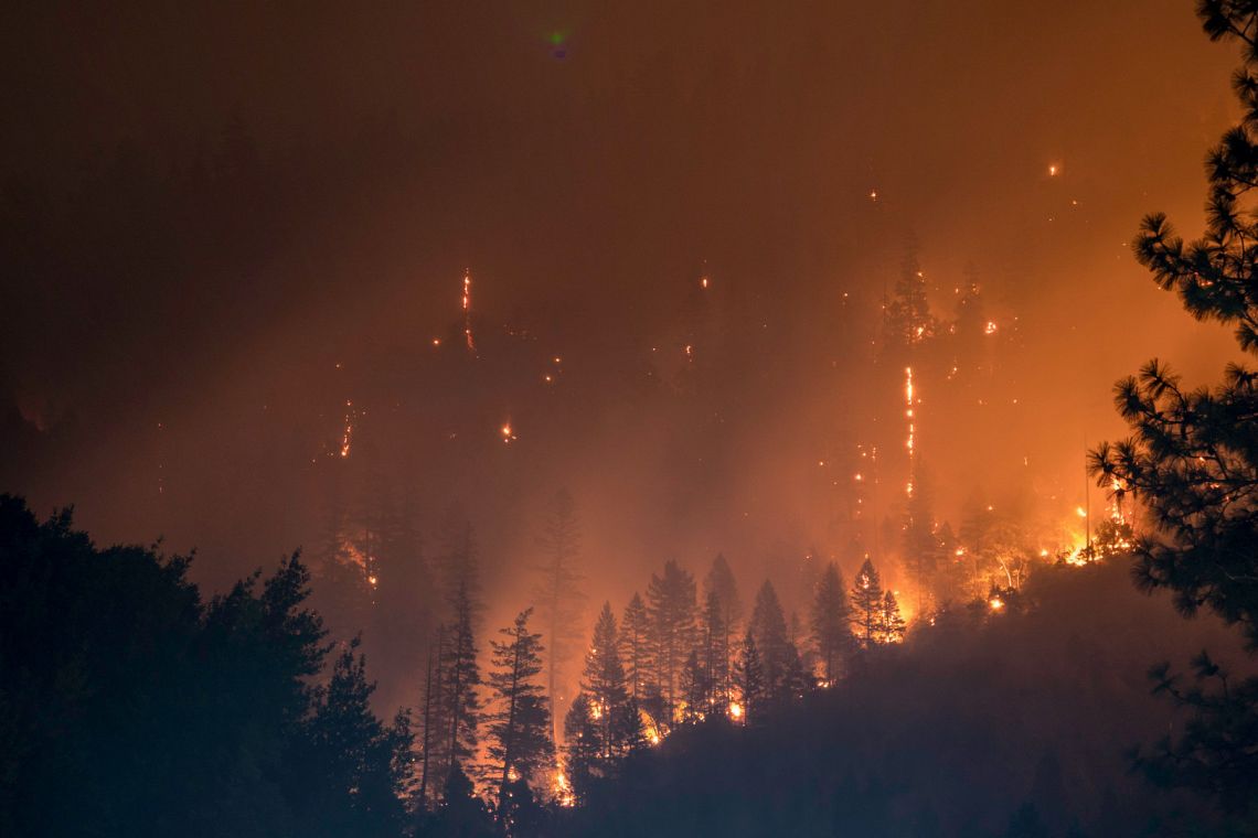 Prevenire gli incendi boschivi in Ue intensificando le misure ecosistemiche