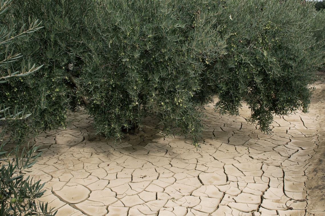 Sempre più evidenti gli effetti della crisi climatica in Sicilia e Sardegna