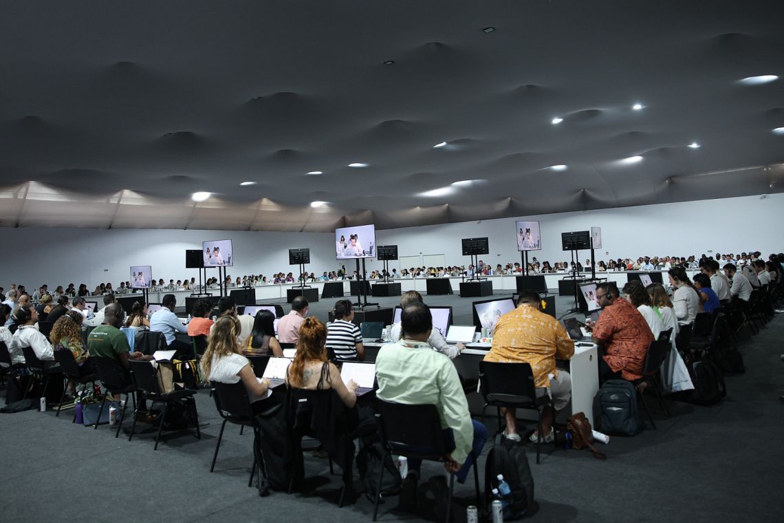 Cop 30: il compromesso al ribasso di Belém riflette l’inerzia dei governi sul clima