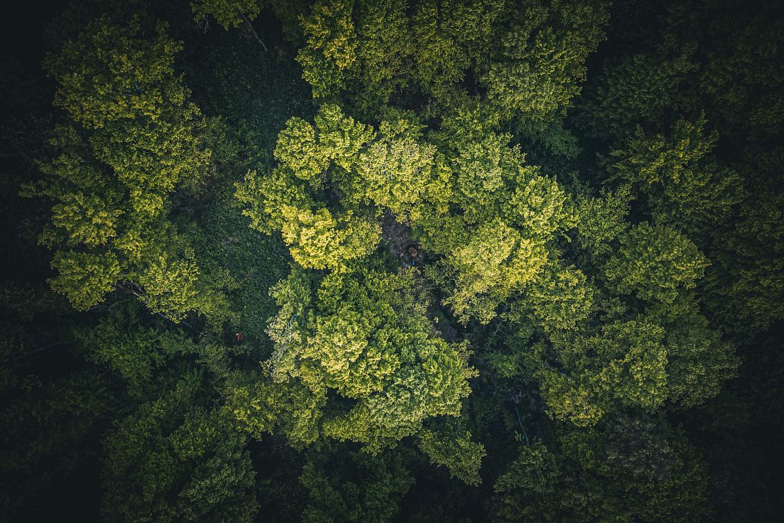 Trasparenza climatica: la leva nascosta per realizzare l’Accordo di Parigi
