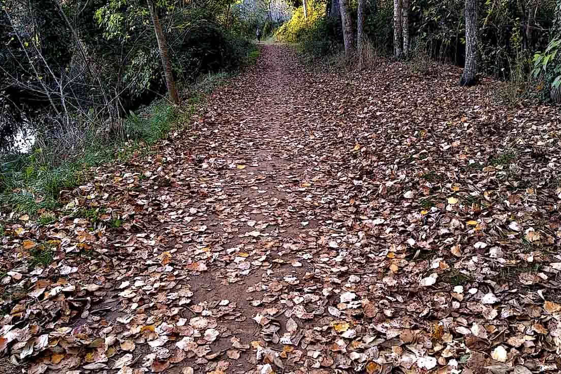 Pacchetto d’autunno del semestre europeo: competitività, occupazione, competenze