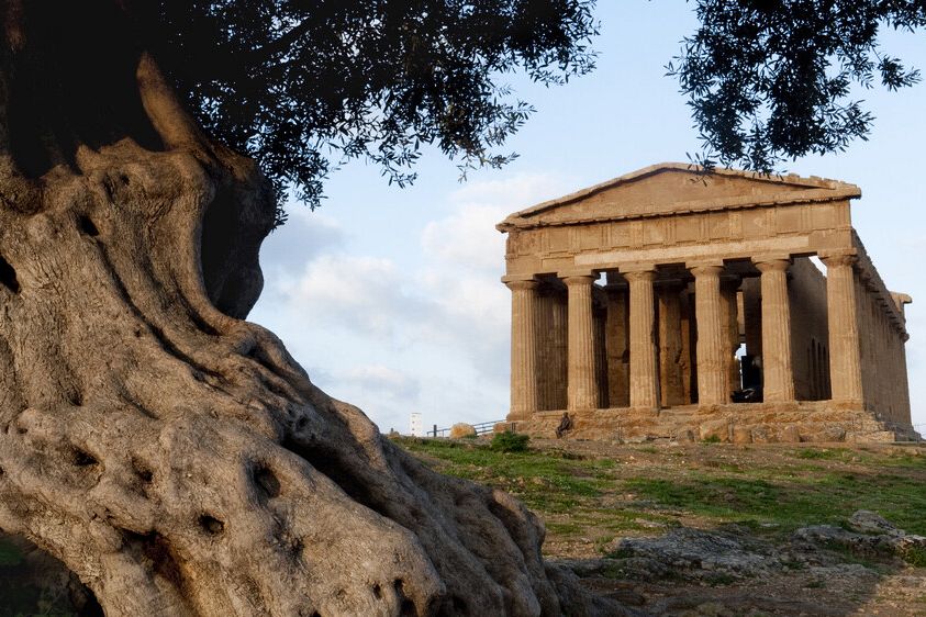 Le rubriche settimanali 