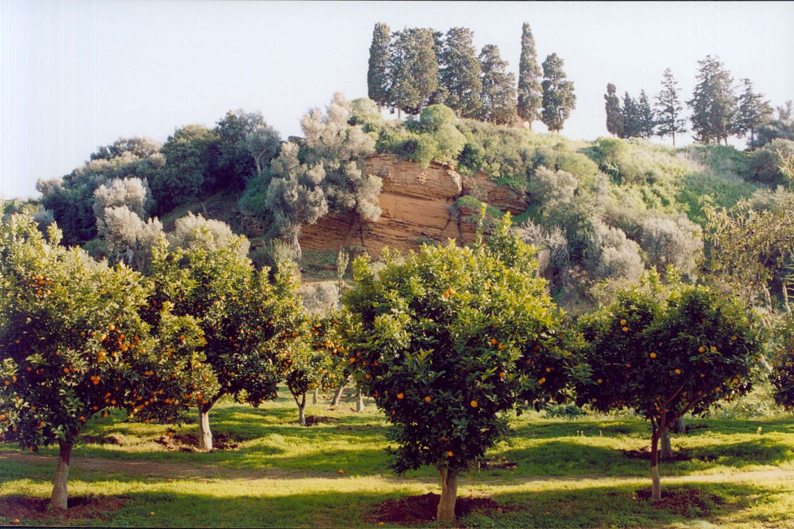 Buone pratiche: il Fai riscopre il giardino della Kolymbethra, tra storia e biodiversità