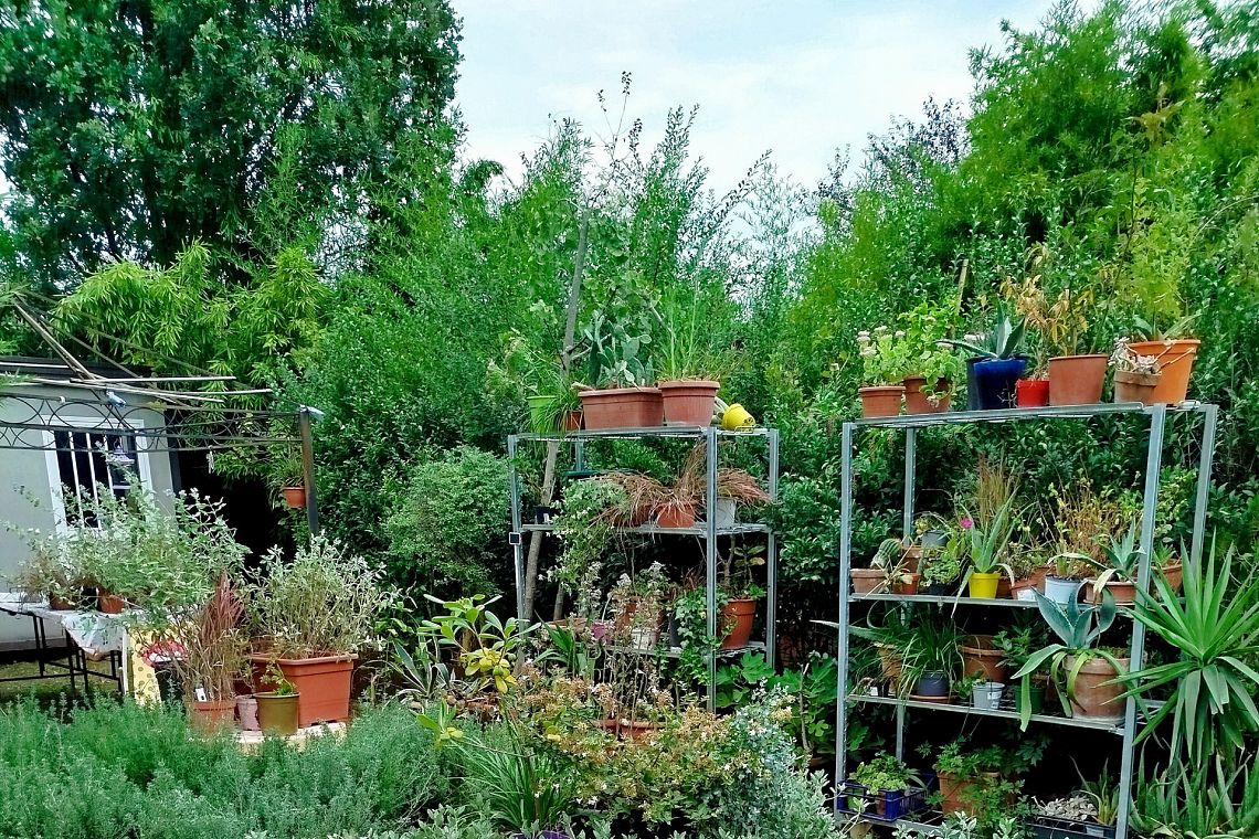 Le rubriche settimanali 