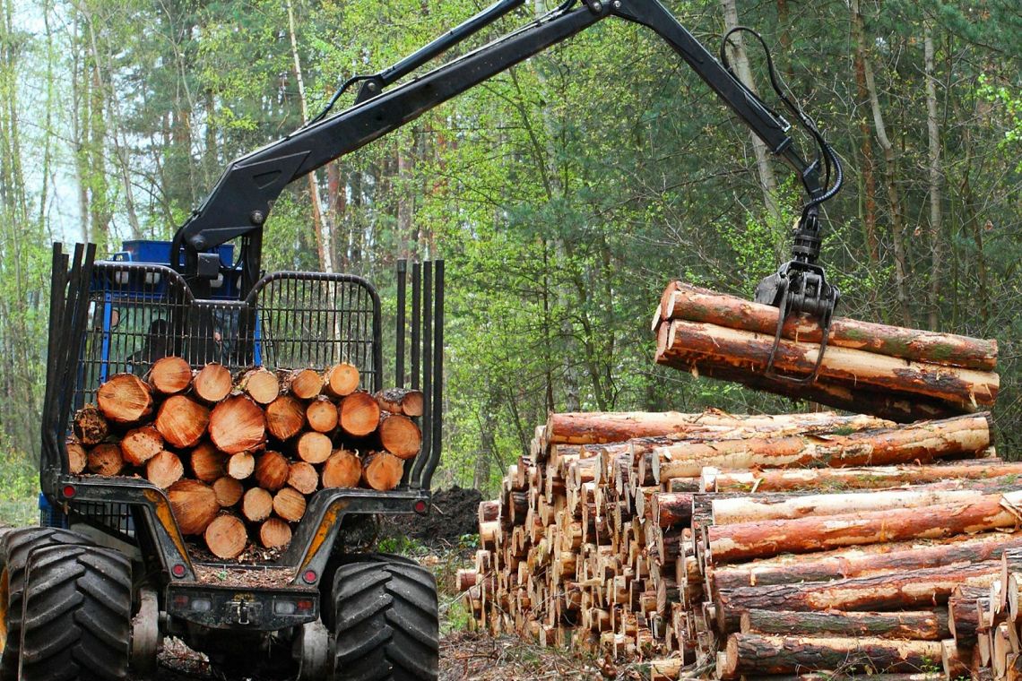 Per ogni dollaro investito in favore della natura ce ne sono 30 che la distruggono