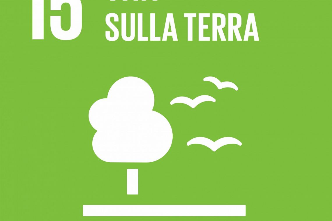 Dalla governance al Biodiversity net gain: guida alle nuove norme Iso