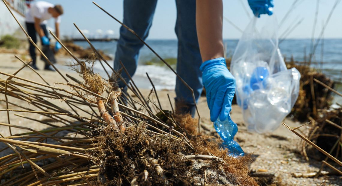  Approvata dal Consiglio dell’Unione europea la legge sul ripristino della natura