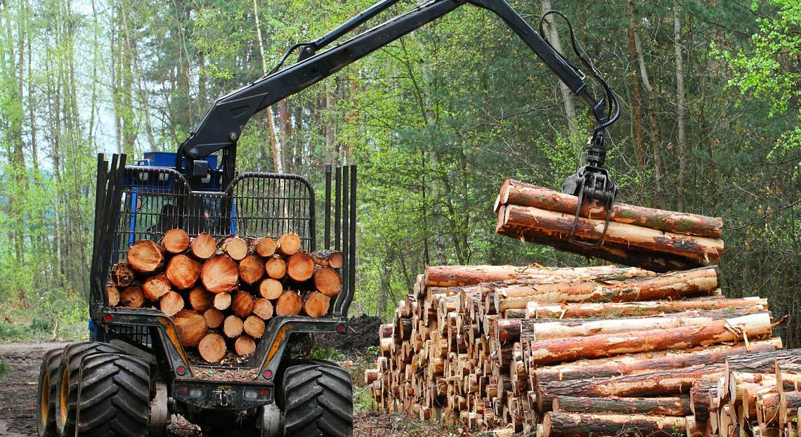 Per ogni dollaro investito in favore della natura ce ne sono 30 che la distruggono