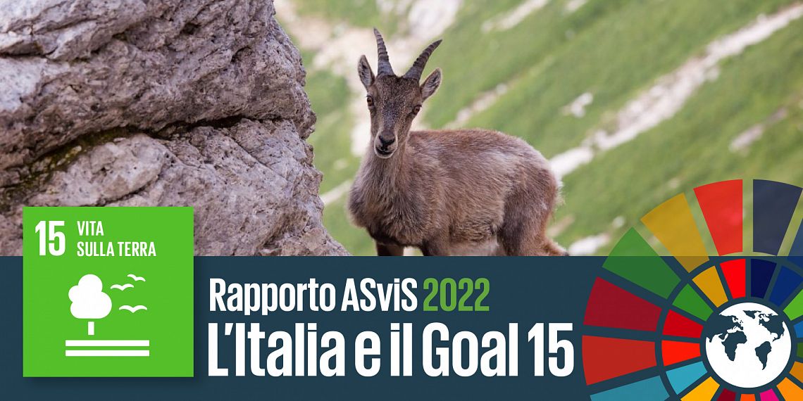 L’Italia e il Goal 15: biodiversità in declino, serve una fiscalità ecologica