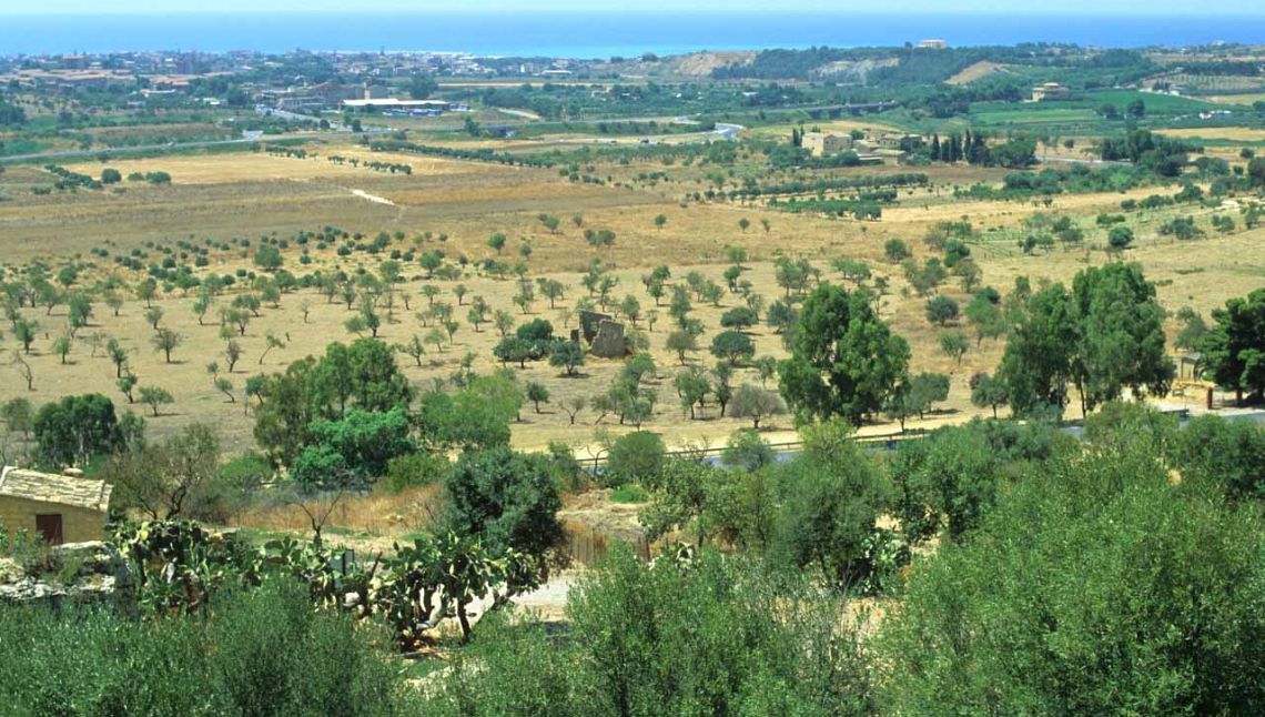 Gli europei chiedono un’agricoltura che contrasti i cambiamenti climatici 