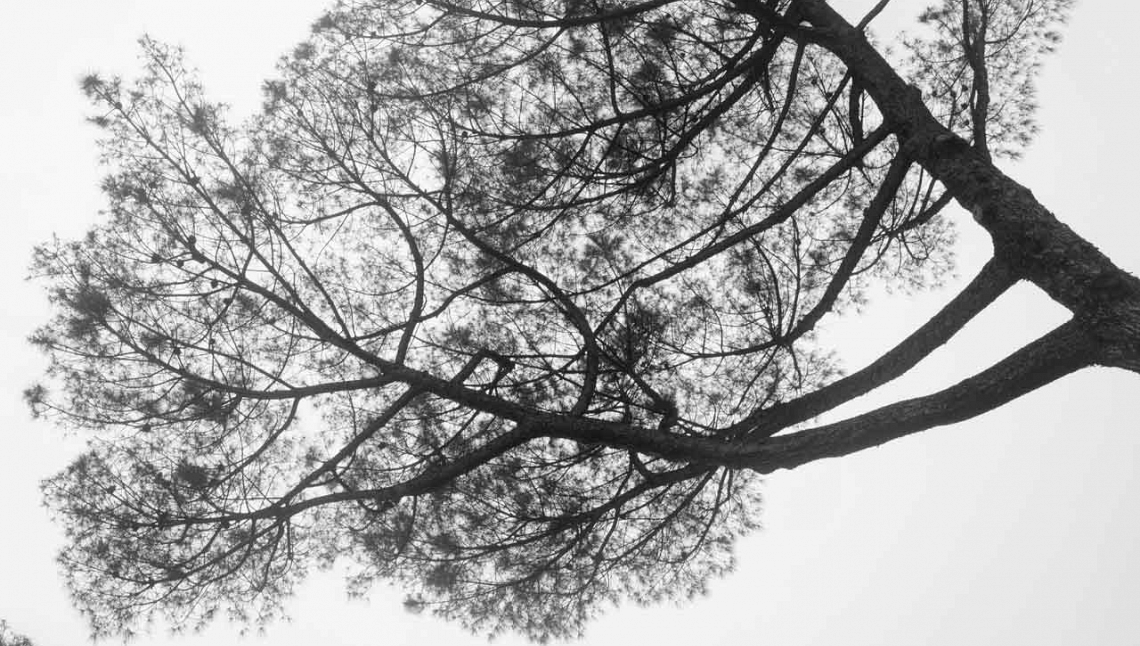 Conseguire gli obiettivi ambientali europei semplificando le regole